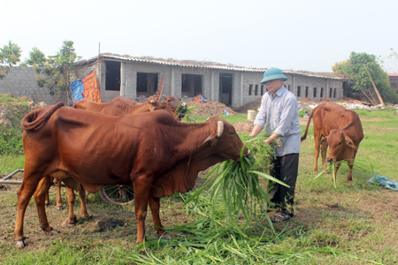   Tiếp thêm nghị lực cho nạn nhân chất độc da cam